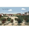 George 'A Square No.038