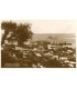 Patra's Panorama No.014