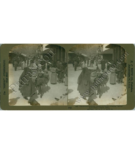 Stereoview H.C.WHITE CO No.072