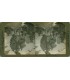 Stereoview H.C.WHITE CO No.072
