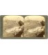 Stereoview UNDERWOOD 1 PACK No.003