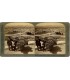 Stereoview UNDERWOOD 1 PACK No.014