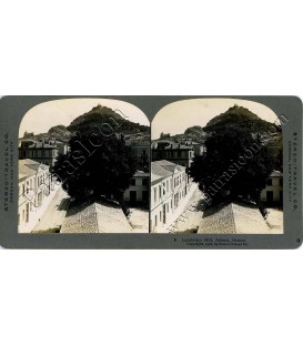 Stereoview STEREO TRAVEL CO No.002