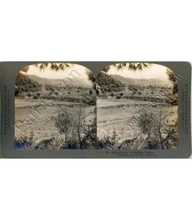 Stereoview STEREO TRAVEL CO No.078