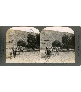 Stereoview STEREO TRAVEL CO No.085