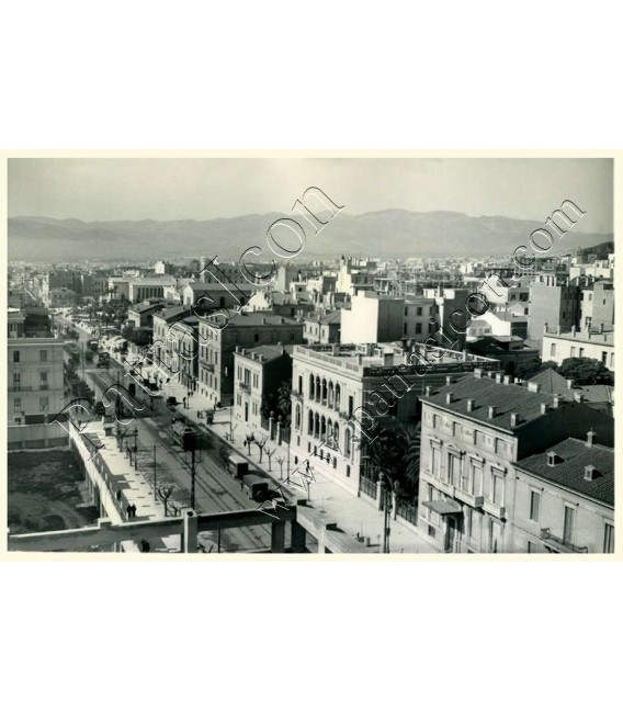 Various From Athens No.055