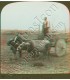 Primitive Greece ,old solid wheel carts will used on the Plain of Thessaly.