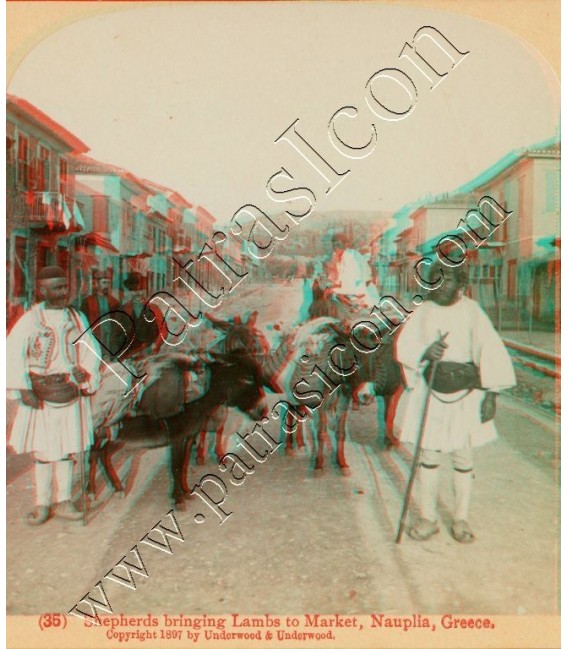 Shepherd Bringing Lambs to Market, Nauplia, Greece.